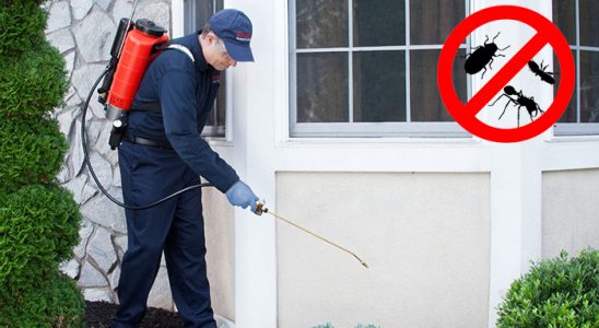 Eruh Dezenfeksiyon böcek ilaçlama ve haşere kontrolü — ilaclama-tr.com